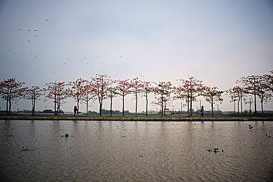 《暗黑地牢》 免费mod“黑色圣物箱”Steam页面 3月25日正式上线